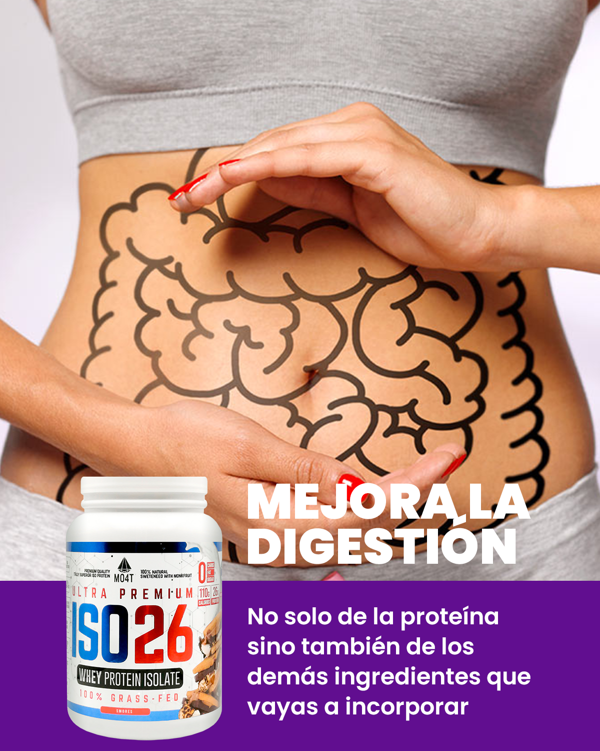 PROTEINA ISO26 DE SMORES (1.6 libras)
