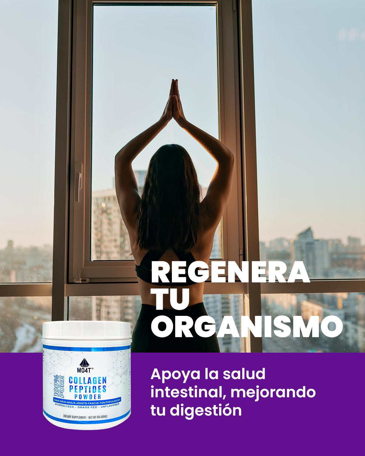PEPTIDOS DE COLÁGENO HIDROLIZADO - (41 servicios)